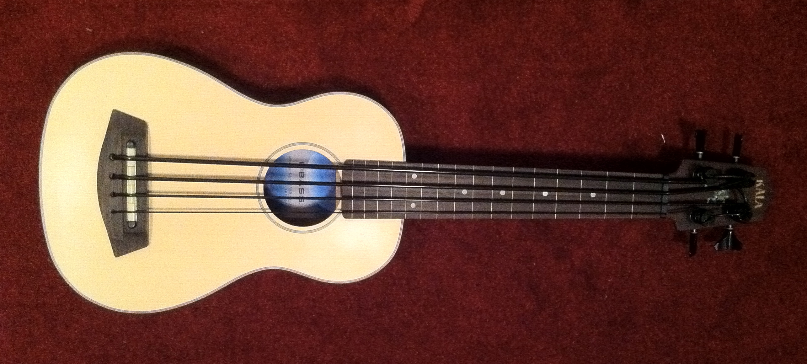 ubass-pic.png