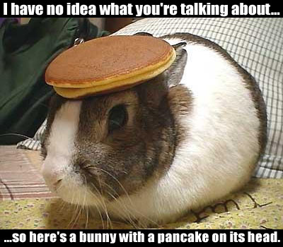 BunnyWithPancake.jpg