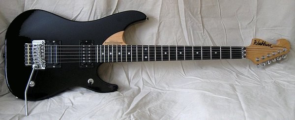 washburn-n4.jpg