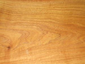 aalii-and-naio-009-300x225.jpg