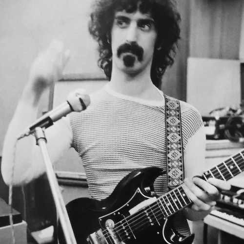 FrankZappa.png