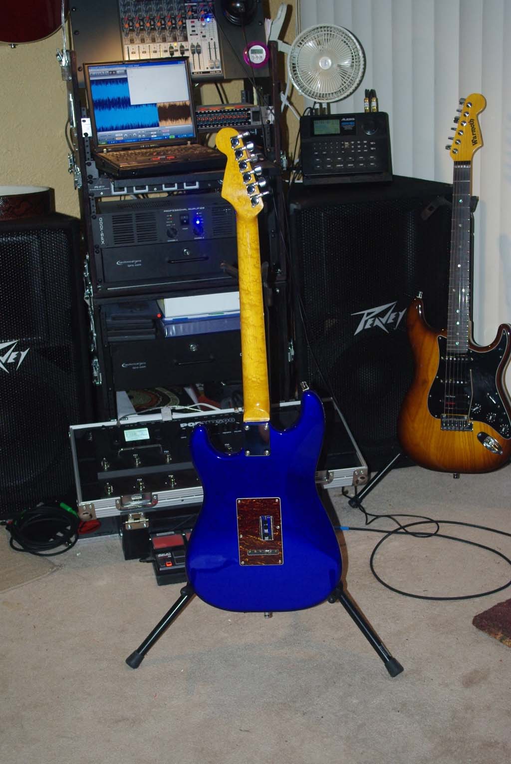 squier2.jpg