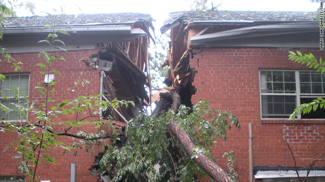 t1larg.fallen.tree.bottom.cnn.jpg
