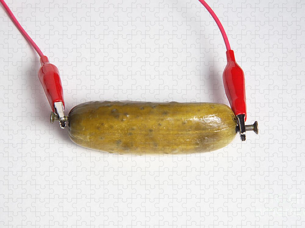 glowing-electric-pickle-1-of-2-ted-kinsman.jpg